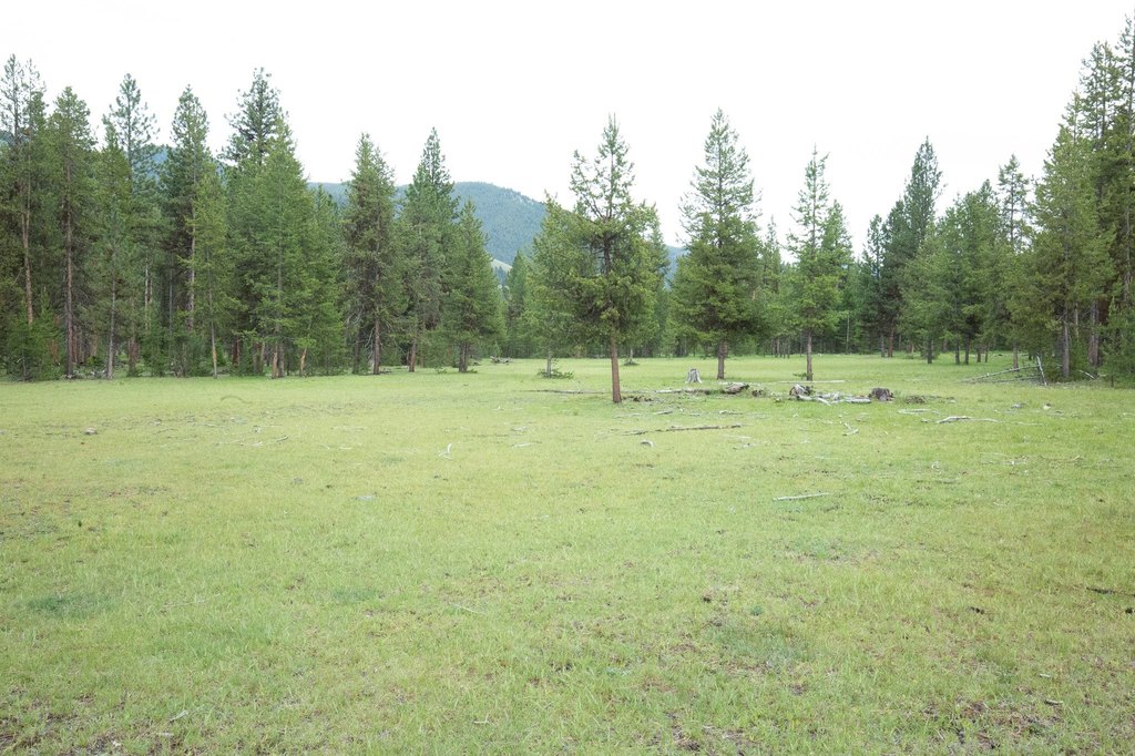 Picture 10