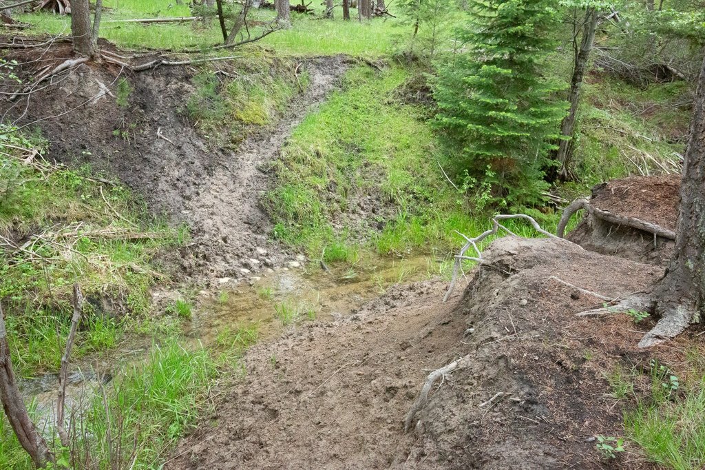 Picture 12