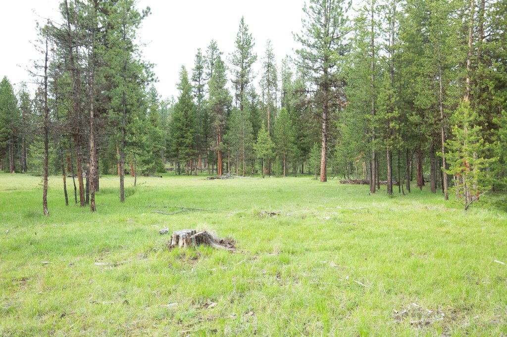 Picture 7