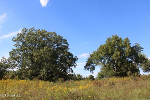 158 Acres Pastureland in Walls