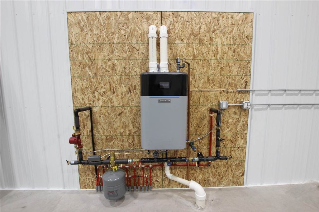 Picture 8