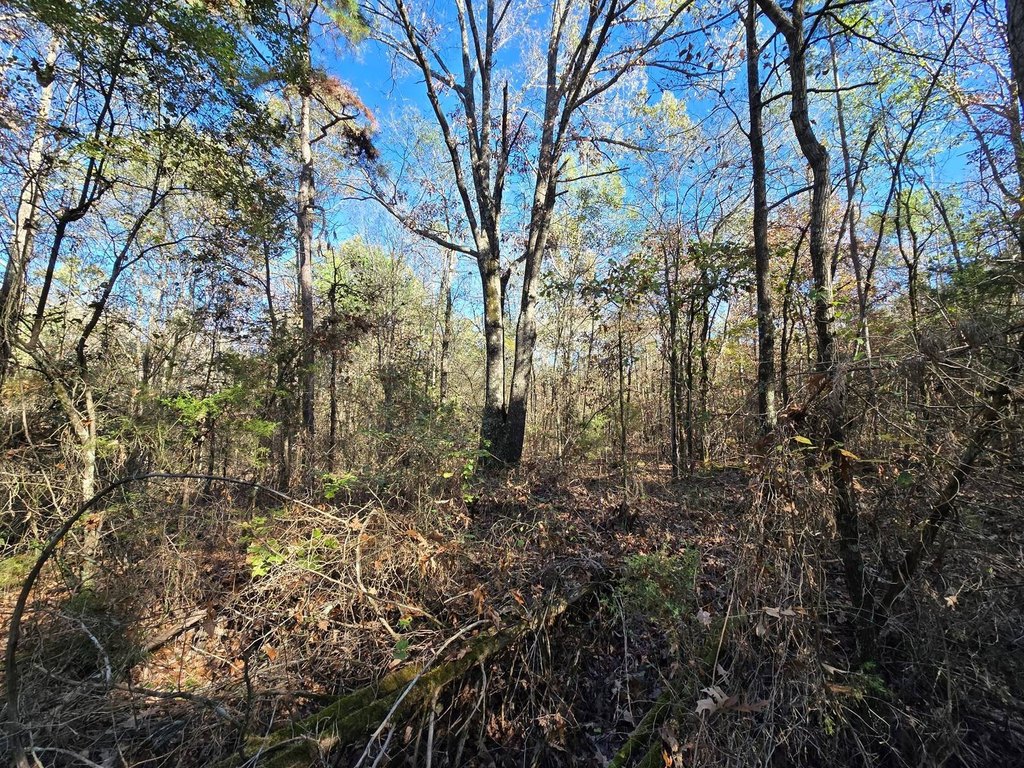 Picture 14