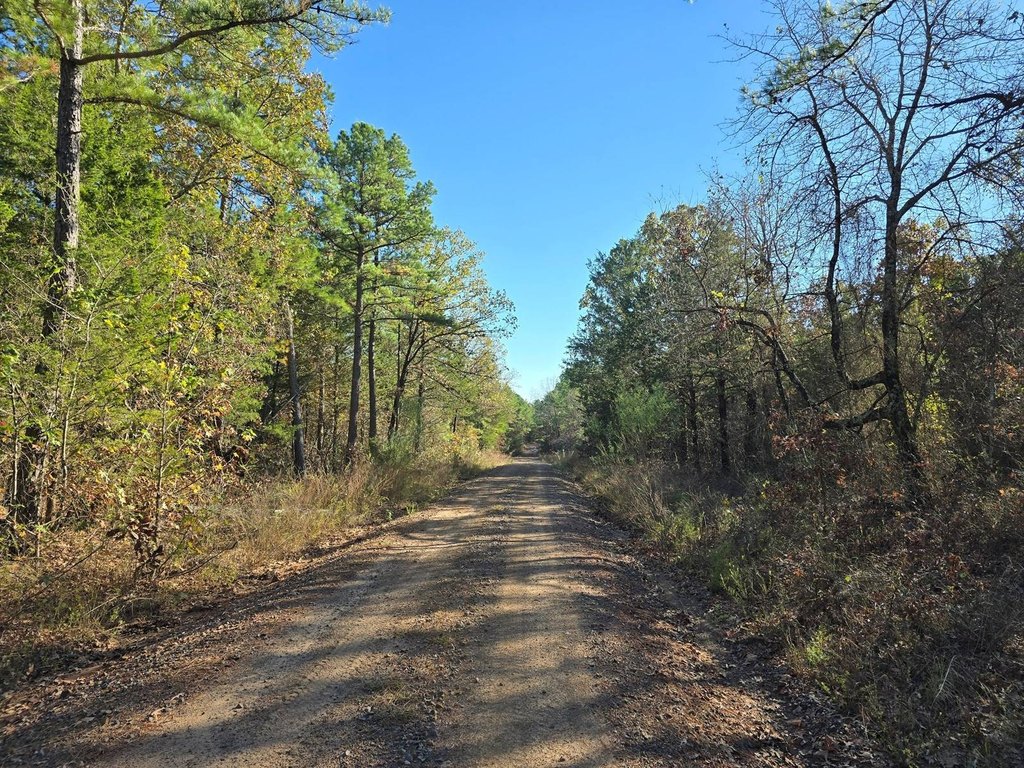 Picture 21