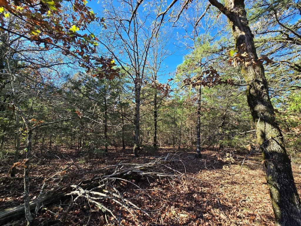 Picture 17