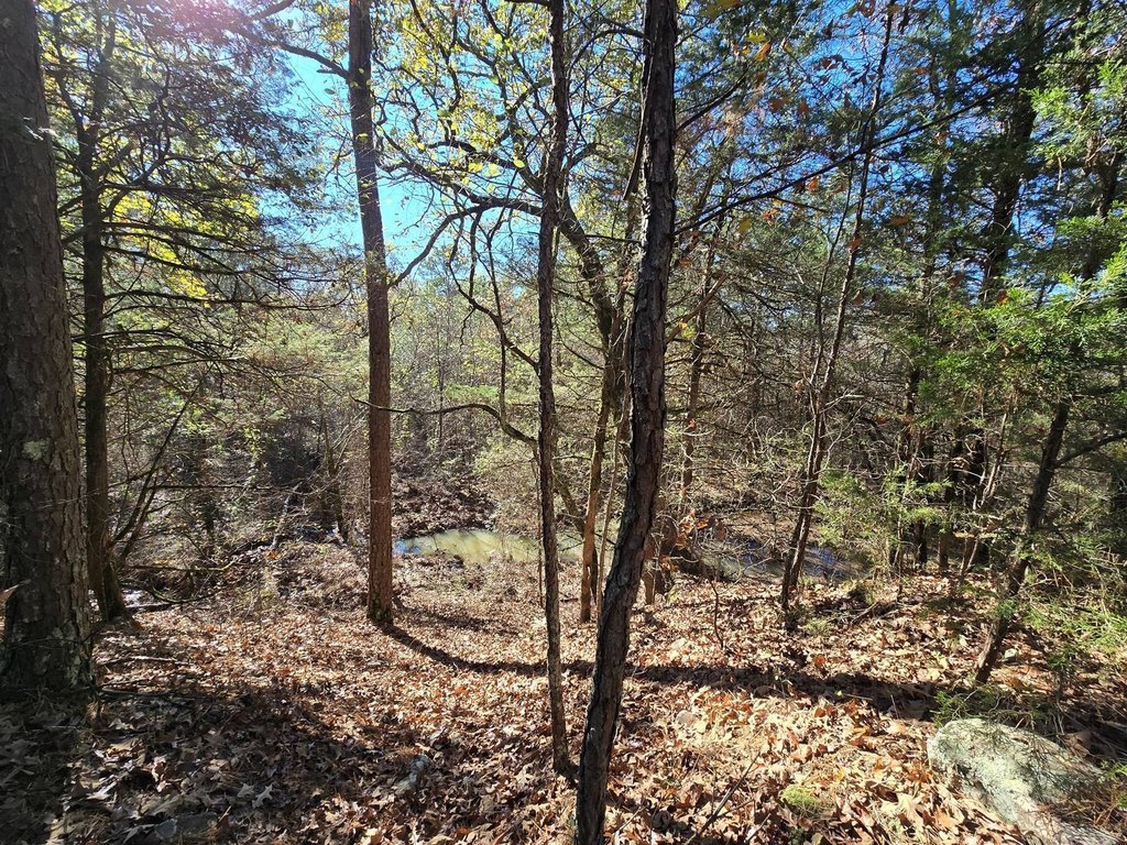 Picture 8