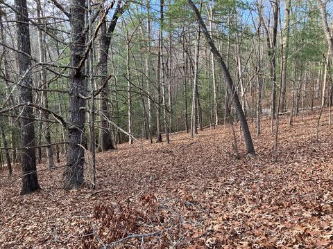 Mountain Lot in Murphy, NC