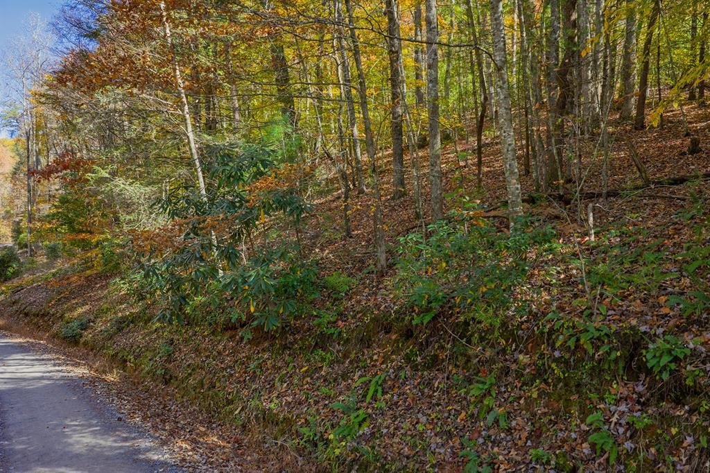 Picture 12