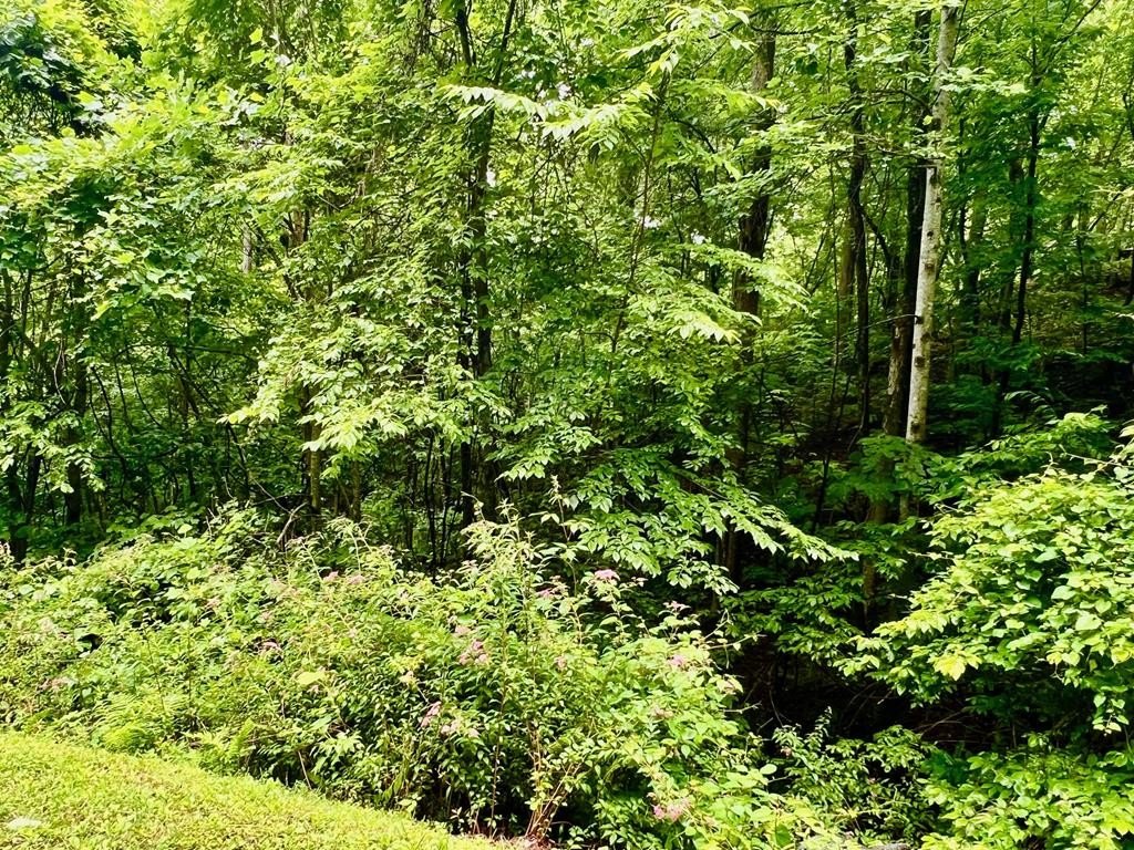 Hiawassee, GA Vacant Lot