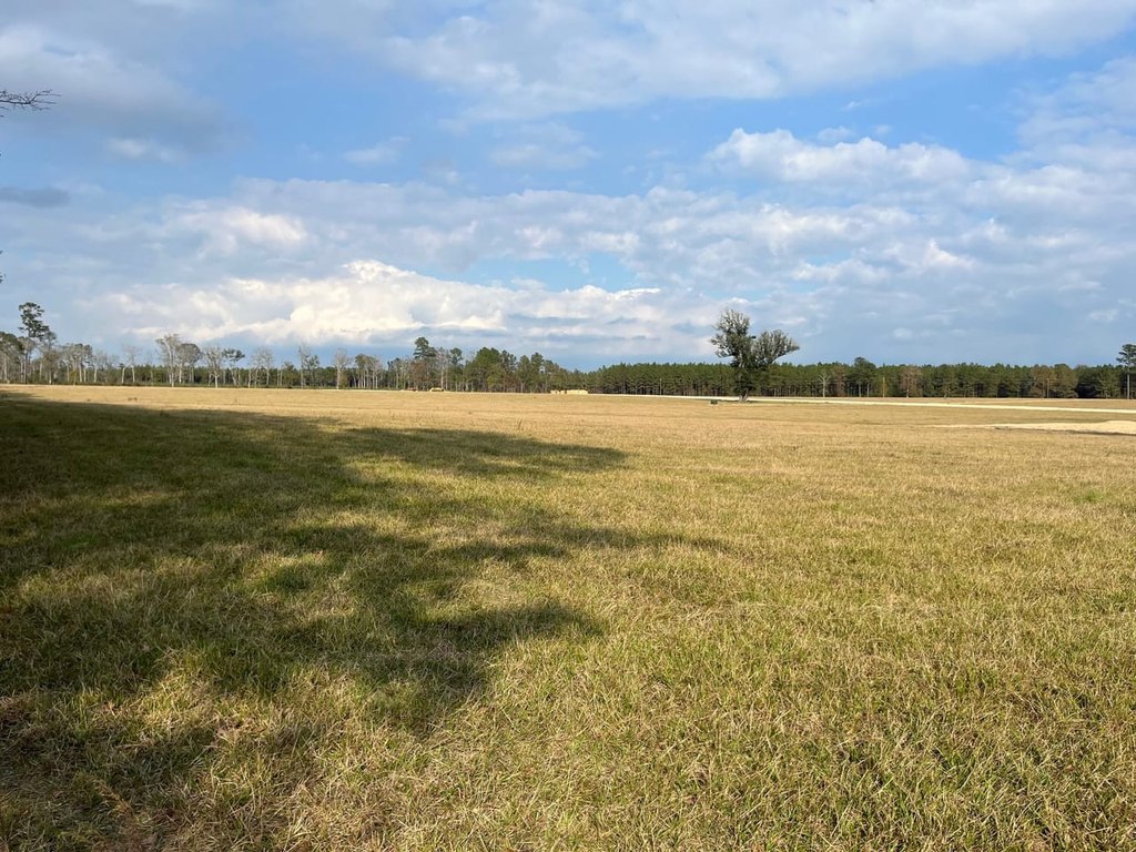 Picture 20