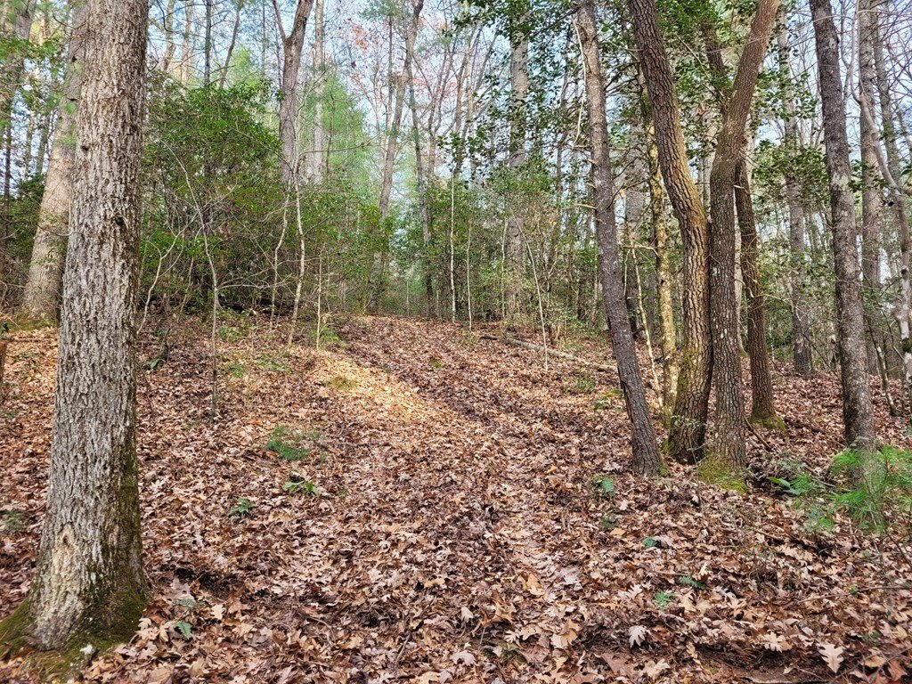 Picture 16
