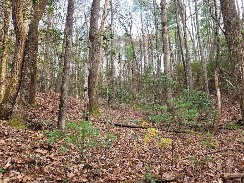 Picture 17