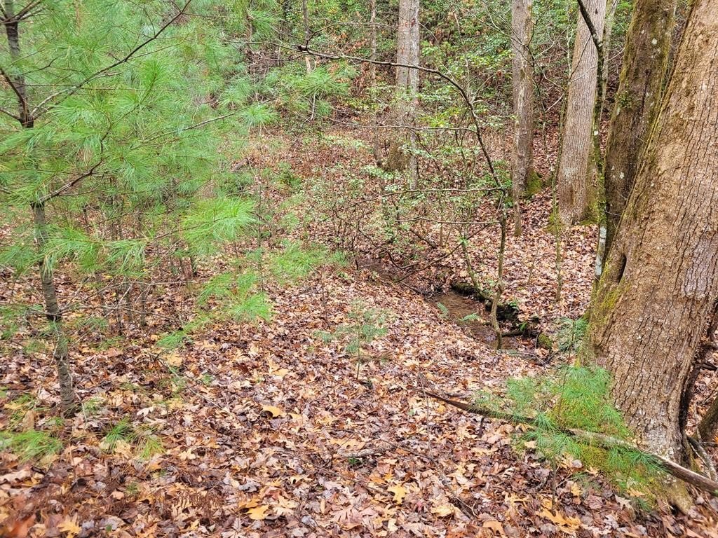 Picture 24
