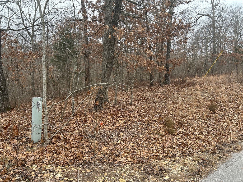 Picture 2