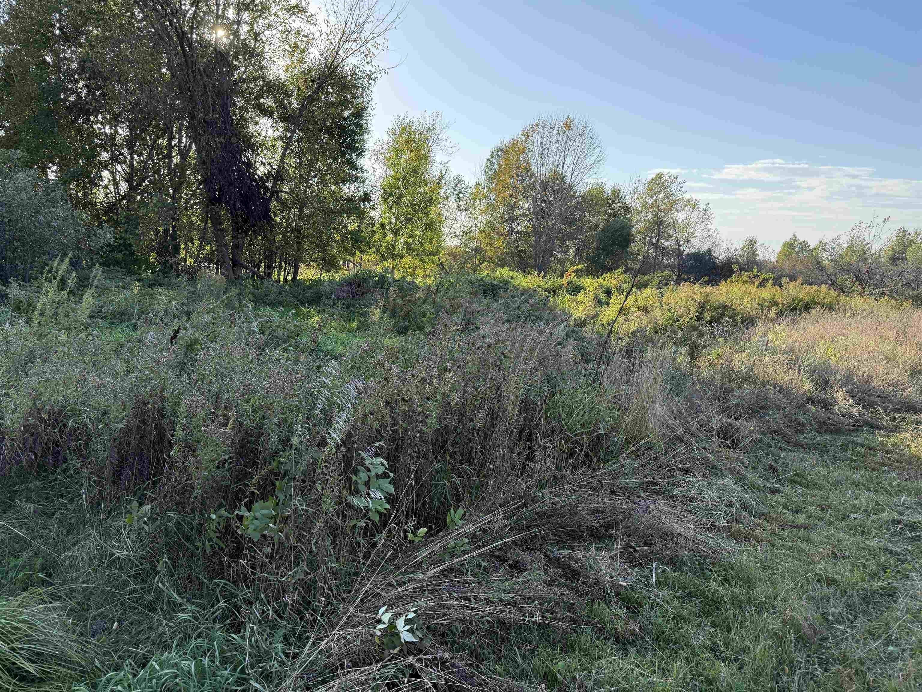 Wooded Land Parcel Near Wausau