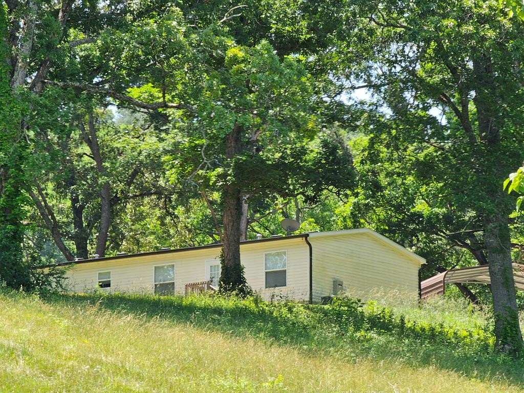 Picture 9
