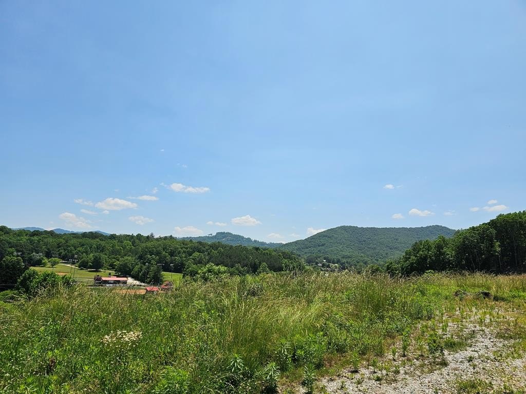 Picture 28