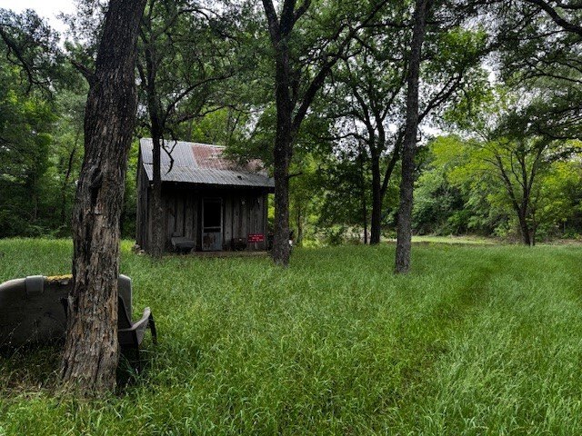Picture 5