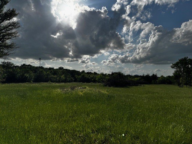 Picture 16