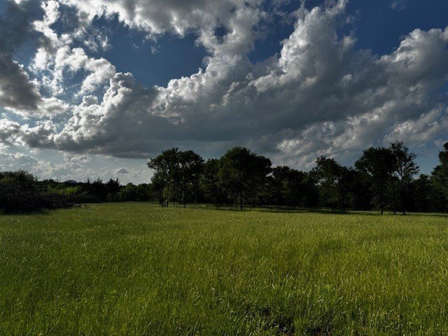 Picture 17