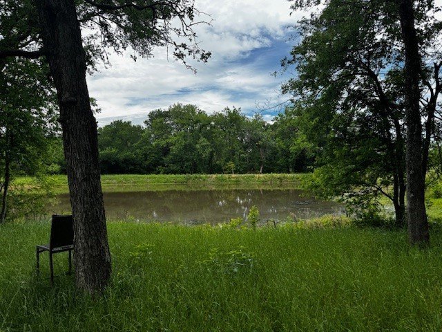 Picture 6