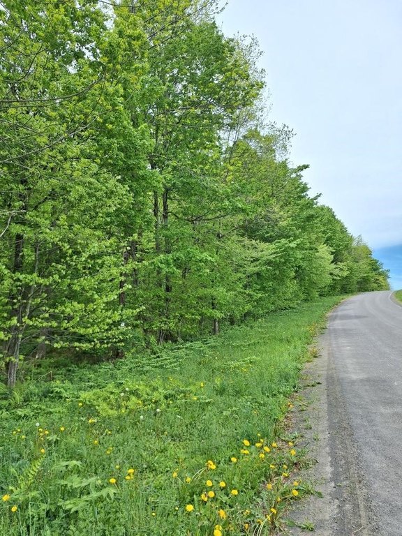 Picture 5