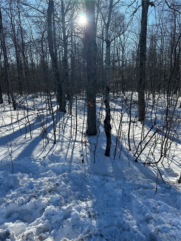 Picture 12