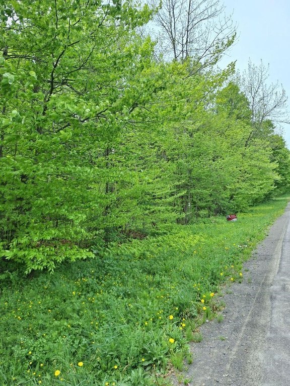 Picture 4