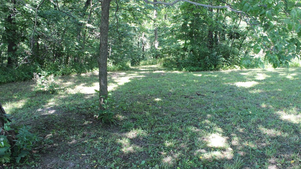 Picture 2