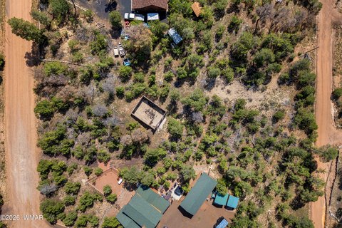 LAND - Heber, AZ