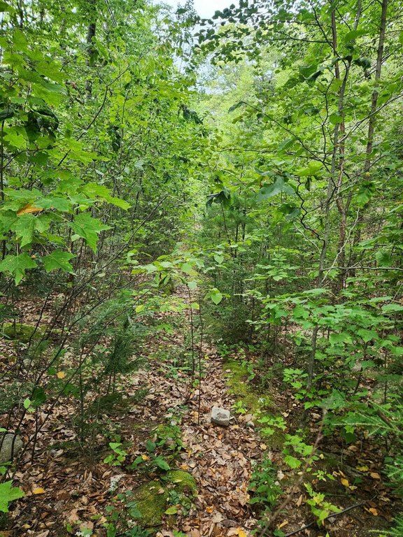 Picture 3