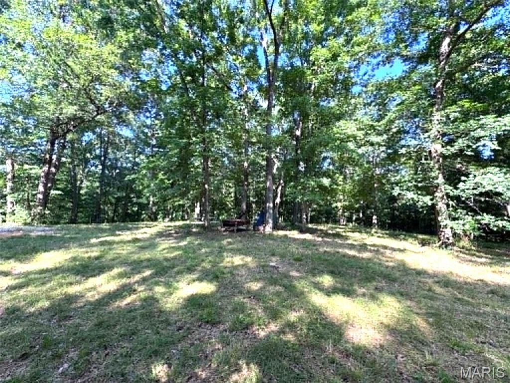 Picture 3