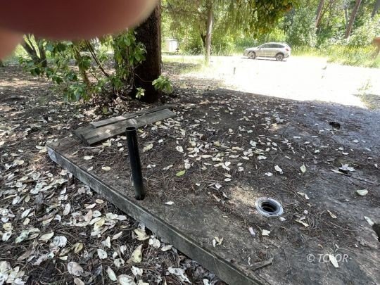 Picture 17