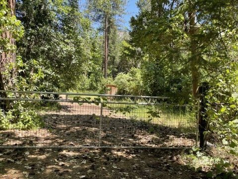 Vacant Land, Junction City, CA