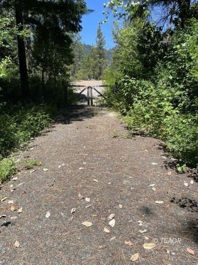 Picture 28
