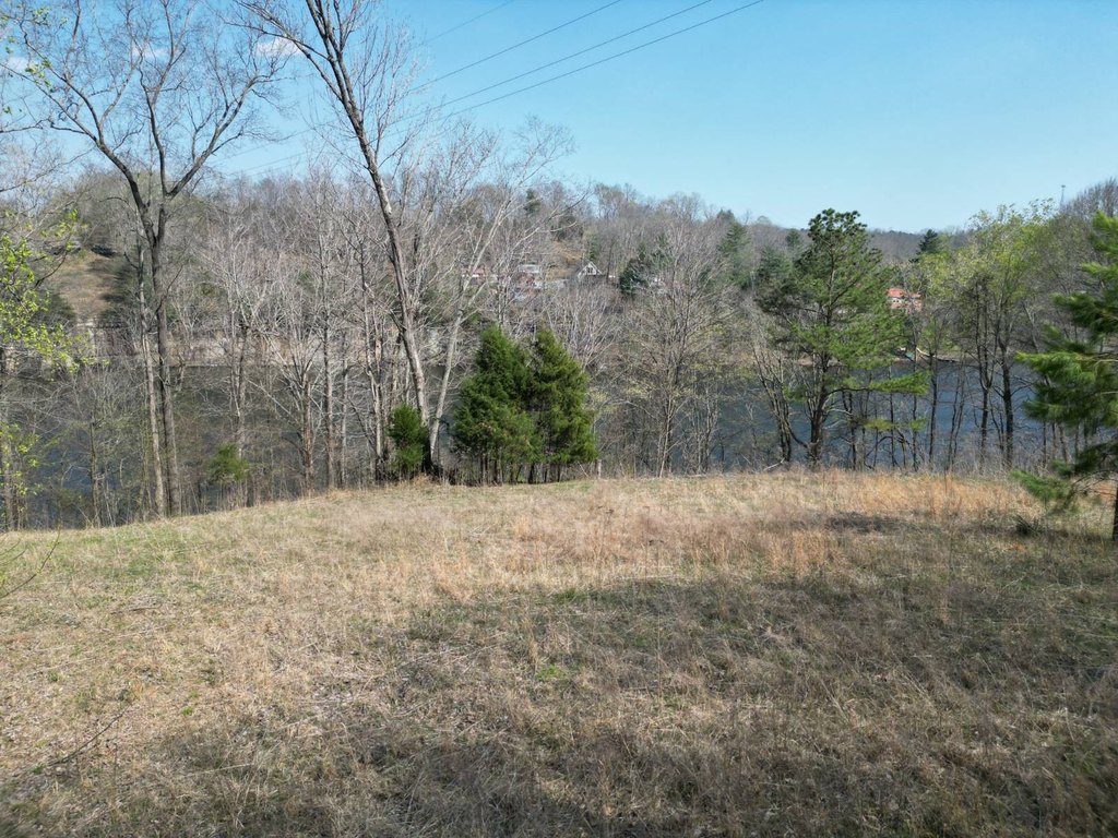 Picture 8