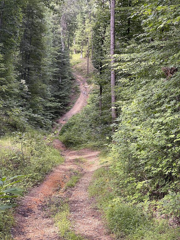 Picture 9