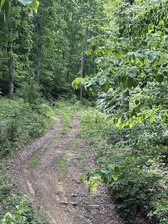 Picture 8