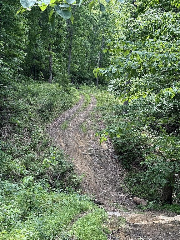 Picture 7
