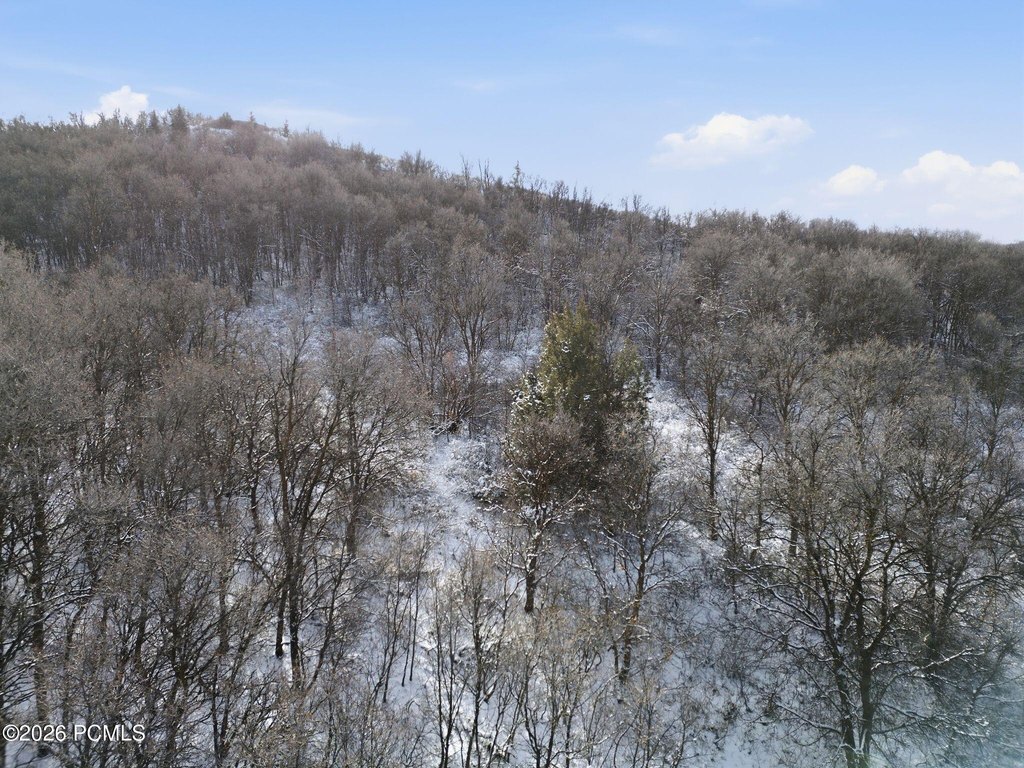 Picture 13