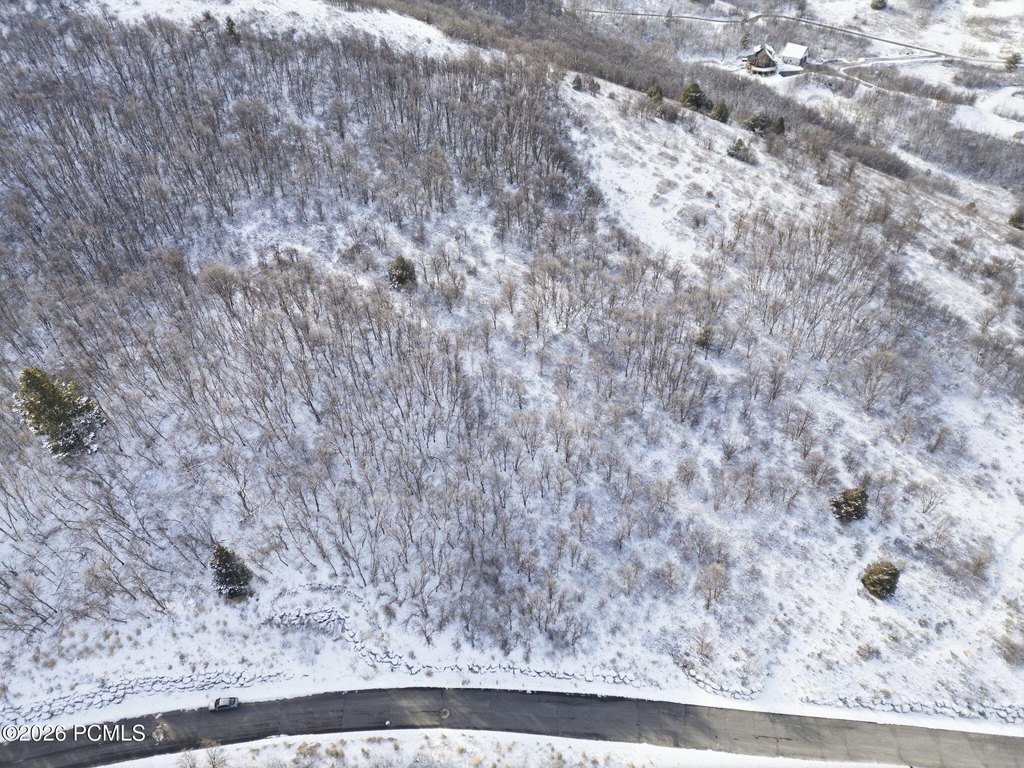 Picture 11