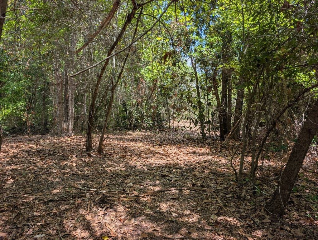 Picture 19