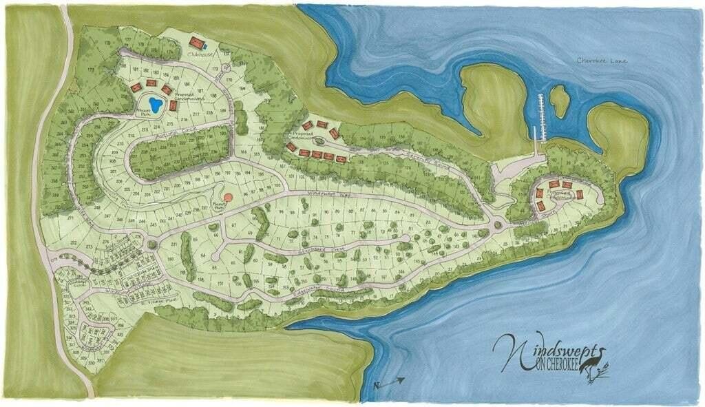 Picture 11