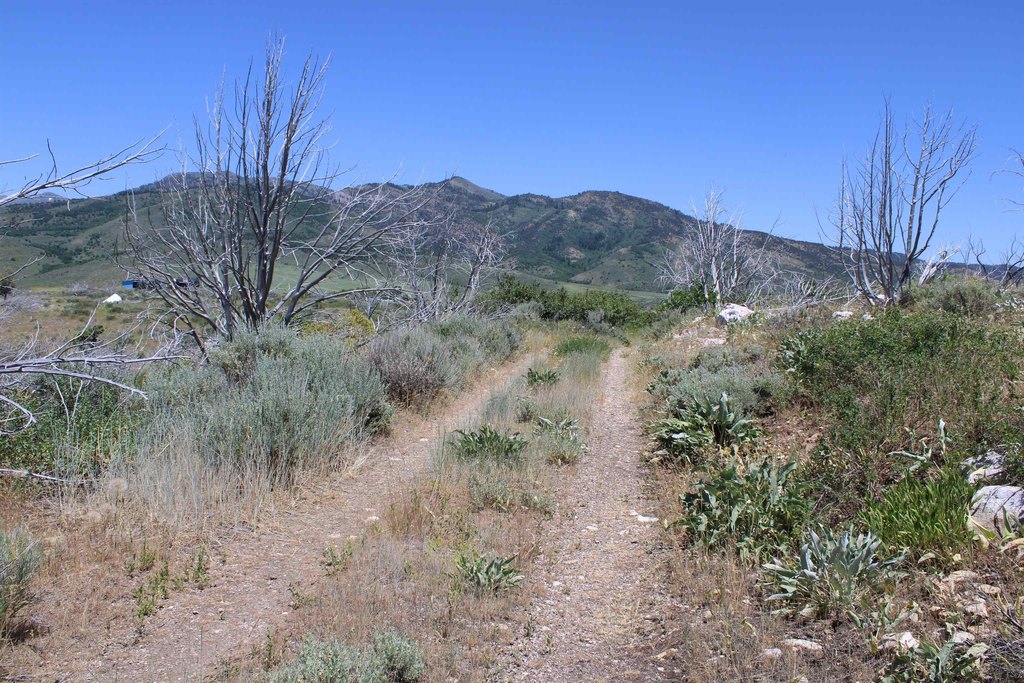 Picture 39