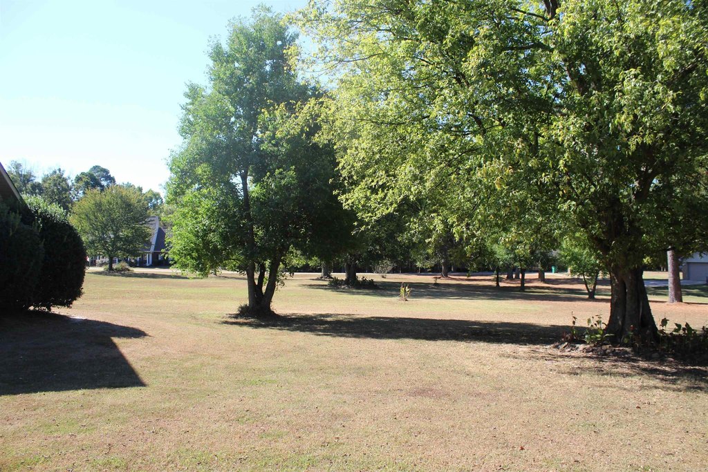 Picture 7