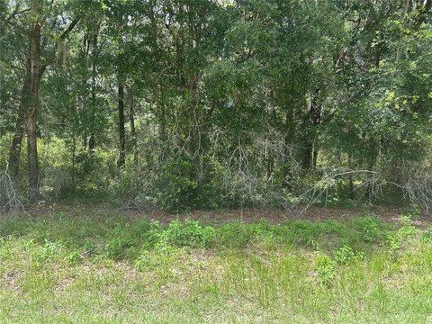 Land - DUNNELLON, FL