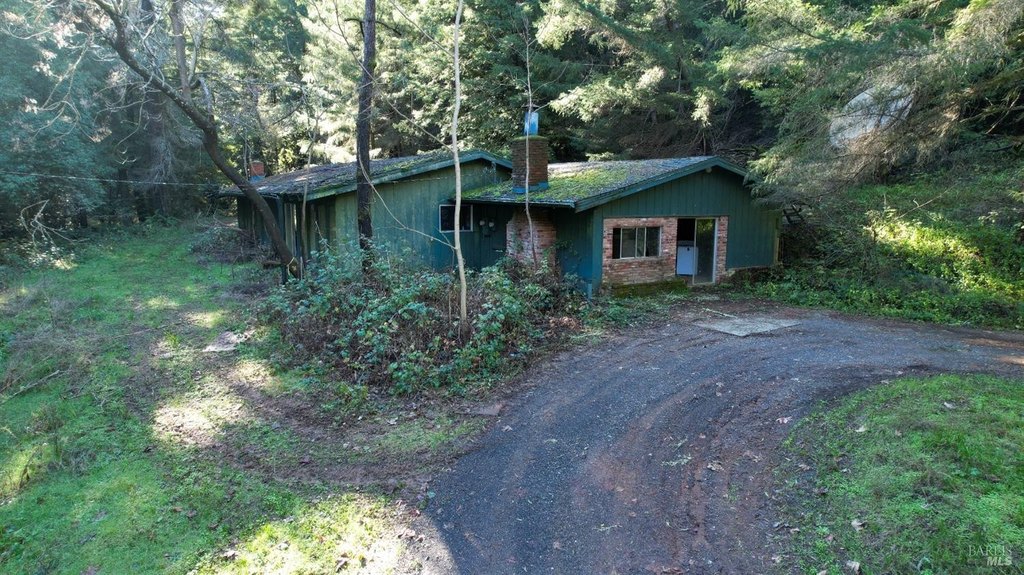 Picture 11