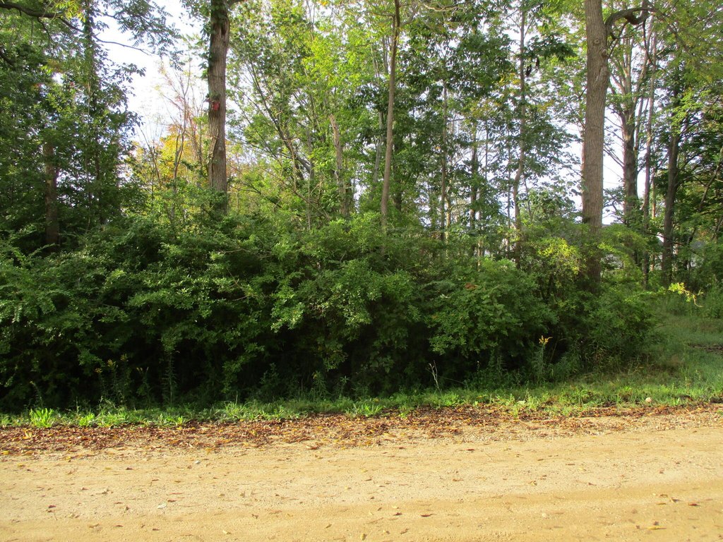 Picture 3