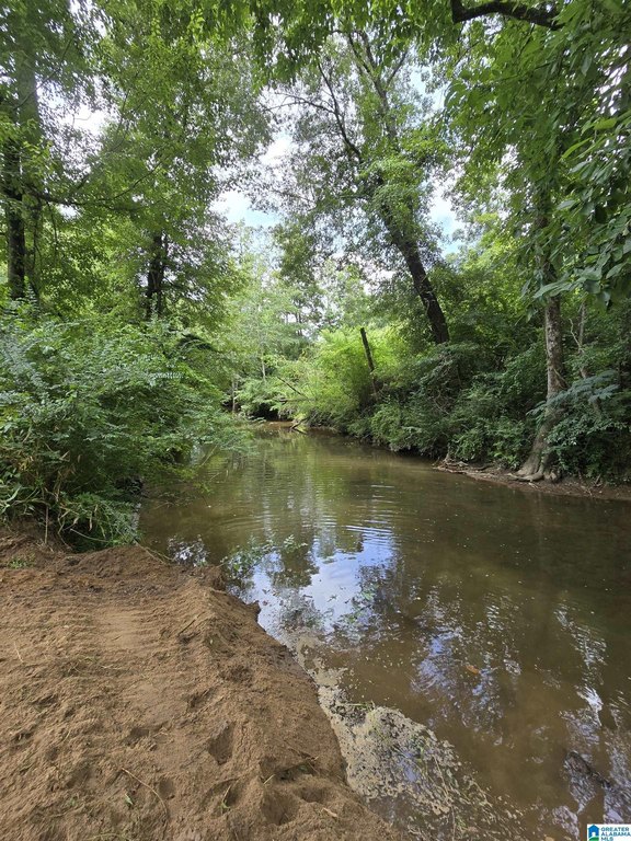 Picture 23