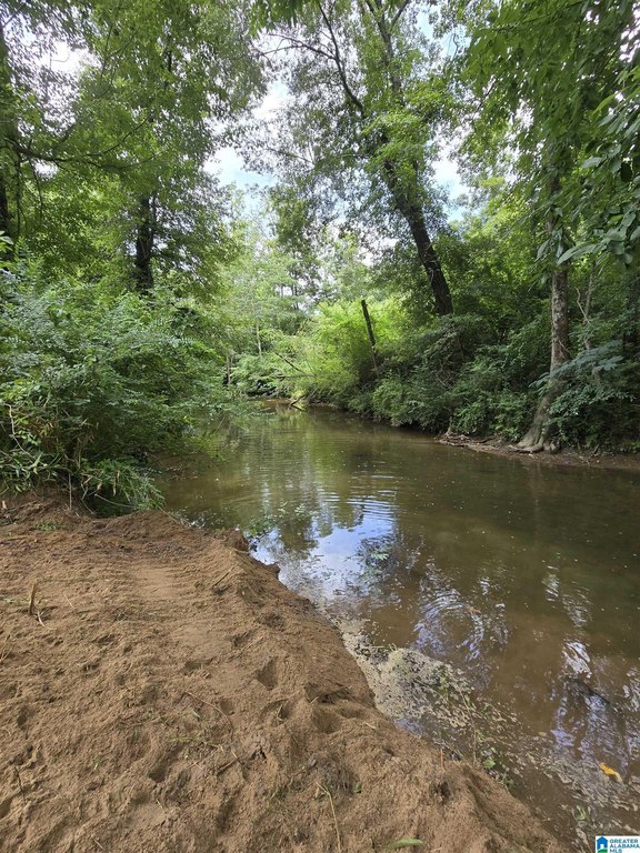 Picture 24