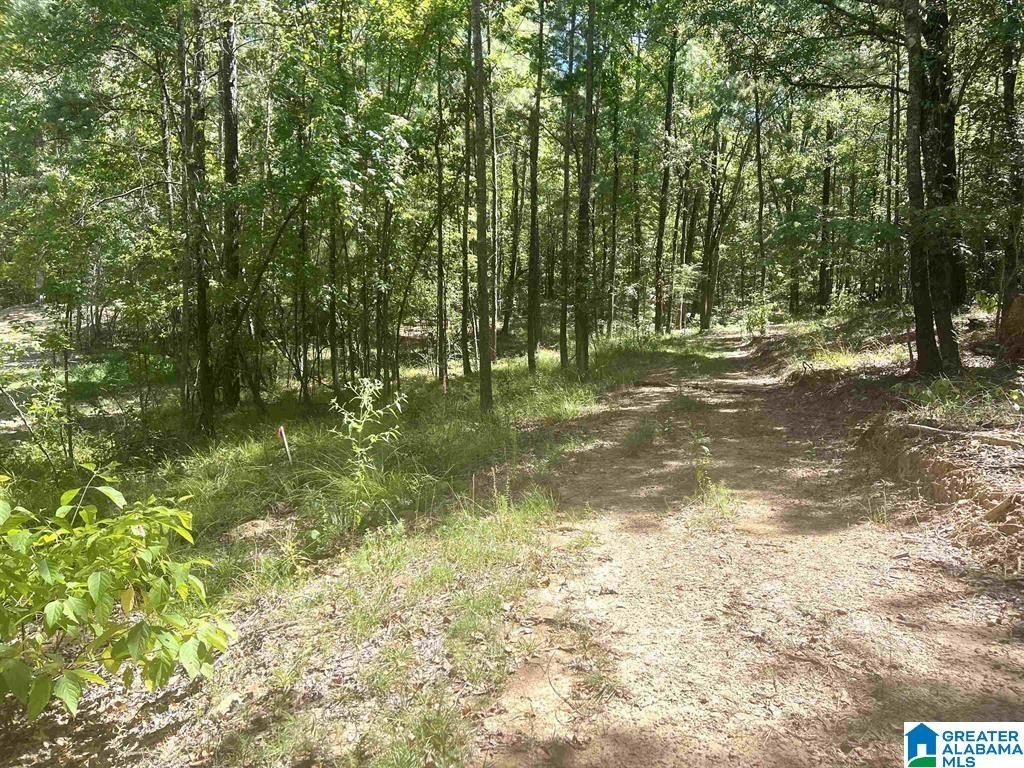 Picture 3